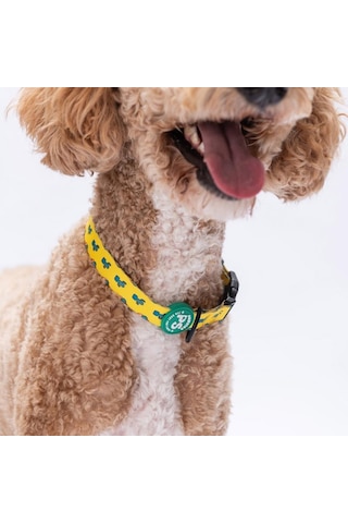 Cactus Kaktüs Desenli Köpek Boyun Tasması Ayarlanabilir Köpek Tasması M Size 32-48cm Boyun Aralığı Sarı