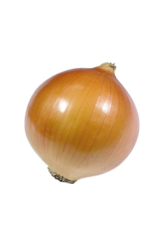 Kuru Soğan Tohumu 10 GR