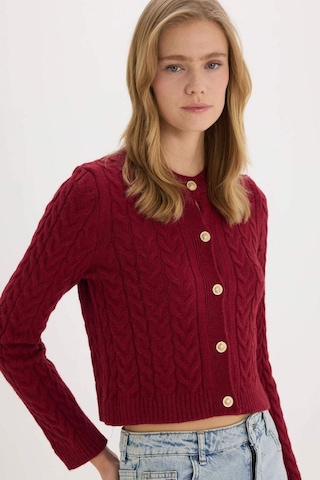 DeFacto Regular Fit Bisiklet Yaka Selanik Örgü Desenli Basic Düz Triko Hırka C9044AX25SPBR285 Bordo