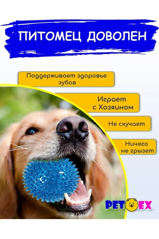 Pet-ex 9 Cm Dikenli Köpek Topu 193079120