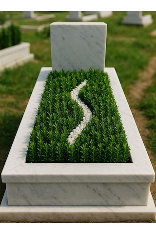 Mezar - Kabir Bitki Seti - 20 Adet Yeşil Taflan Greenspire 25-30