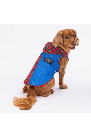 Pawstar Denim & Plaid Kedi Köpek Gömleği