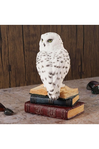 Kitap Üzerinde Beyaz Kar Baykuşu Hedwig Biblosu - Harry Potter