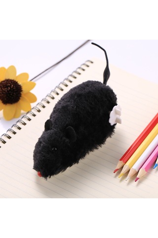 Simulation Toys Random Color Delivery