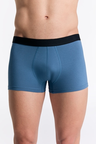 Albero Natur Gots Sertifikalı Organik Pamuk Erkek Trunk Boxer İç Çamaşırı Alp Girisi
