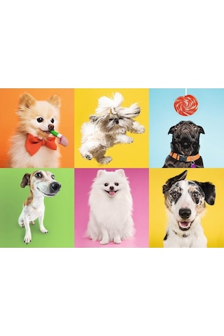 37378 Trefl.Dogs 500 Parça Puzzle