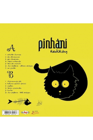 Pinhani - Kediköy Renkli Plak