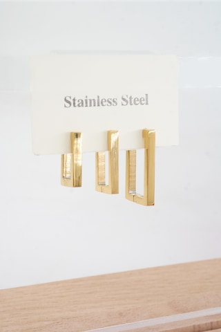 Kadın Vip Seri 316 L Paslanmaz Çelik Didörgen Model 3'lü Küpe Seti 001