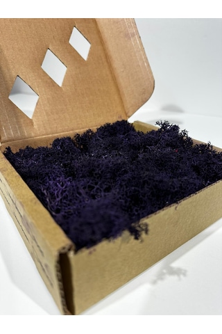 Reindermoss Şoklanmış Norveç Yosunu Terarium Yosunu Mor 100 Gr.