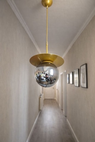 Ömür Avize Tırtıl Eskitme Gold Kasa Globe Camlı Sarkıt Avize Beyaz