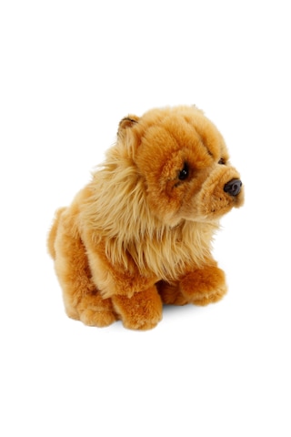 Chow Chow (Çin Aslanı) 28 cm