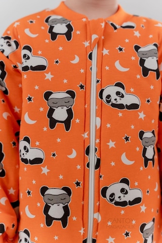 Erkek Bebek 2.5 Tog Desenli Uyku Tulumu 2 Yaş Turuncu