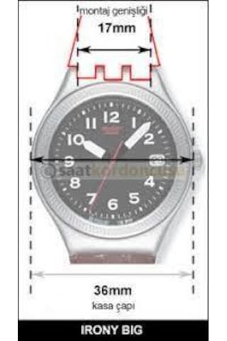 Swatch 17mm Yaylı Metal Kordon Siyah