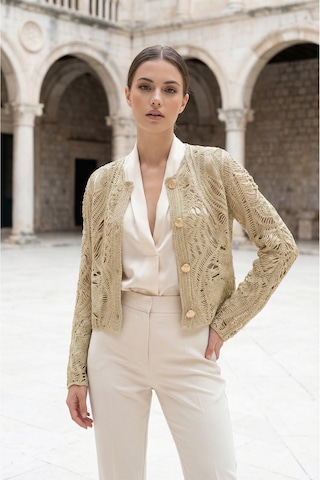 Sayzen Your Shine Dantel Desenli Gold Düğmeli Basic Ceket Shn-2602-tg Stone