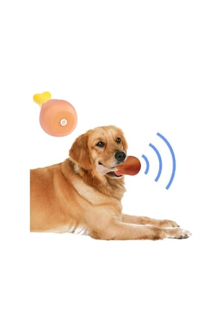 Köpekler İçin Oyuncak Tavuk Budu Bx40