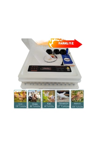 5 Otomatik Programlı 130 Tavuk Yumurta Kapasiteli Tam Otomatik Kuluçka Makinesi