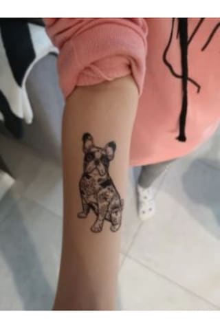 Köpek Bulldog Kaniş Su Geçirmez Kol Bilek Omuz Sırt Geçici Dövme