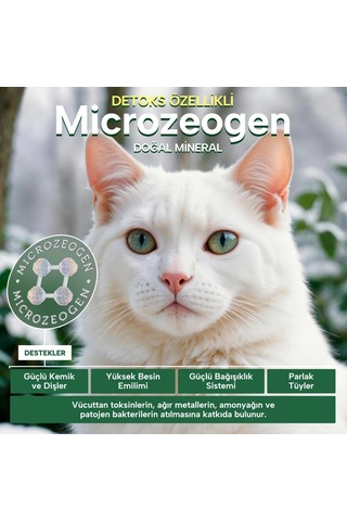 Kitten Kümes Hayvanlı Yavru Kedi Maması 400 Gr