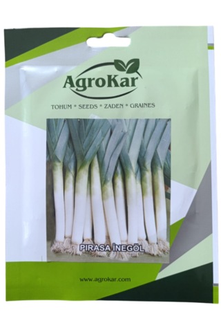 Pırasa Tohumu 10 Gr 1 Paket