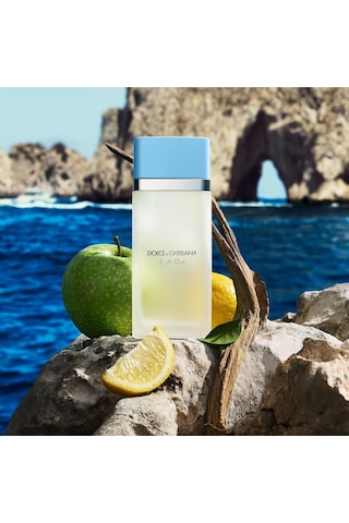 Dolce&gabbana Light Blue 100ml Edt Refillable Parfüm Kadın Diğer
