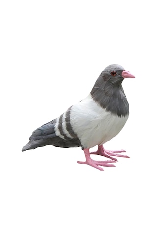 Suntek Simülasyon Güvercin Heykeli Zanaat Yard Avlu Daimi Gri