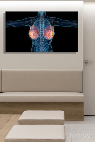 Kadın Göğüs Yapısının Ve Süt Bezlerinin 3 Boyutlu Tıbbi Animasyonu Yatay Kanvas Tablo Tekli 3533