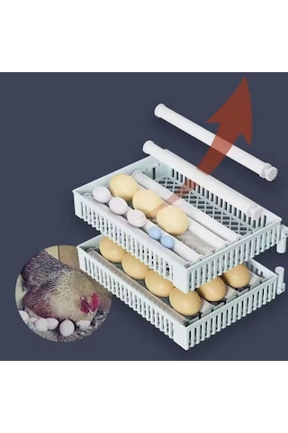 Küçük 24 Tavuk Yumurtası Kapasiteli Tam Otomatik Hobi Kabin Tip Kuluçka Makinesi