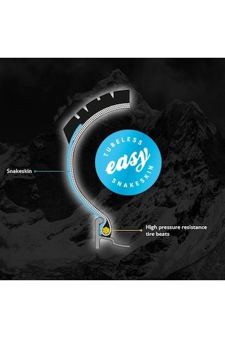 Schwalbe Racıng Ray 29x2.25 Performance Addıx TR Katlanır Dış Las Siyah