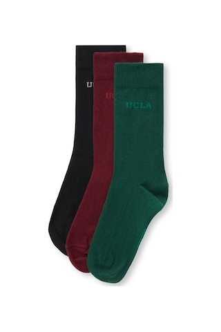 Sılvıus 3'lü Siyah Bordo Yeşil Uzun Jakarlı Standard Fit Unisex Çorap Siyah Bordo Yeşil