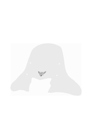 Abv Honda Dio El Korumalı Şeffaf Tur Camı 59x72.5 Cm (21-25) + Bağlantı Ekipmanı