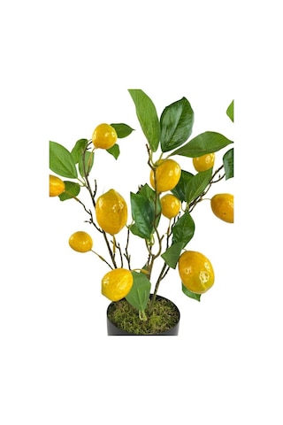 Yapay Limon Ağacı 40Cm Gerçek Doku Siyah Plastik Saksılı Dekorati