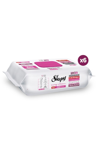 Sleepy Easy Clean Lilyum Buketi Yüzey Temizlik Havlusu Mendili 6x100 (600 Yaprak)