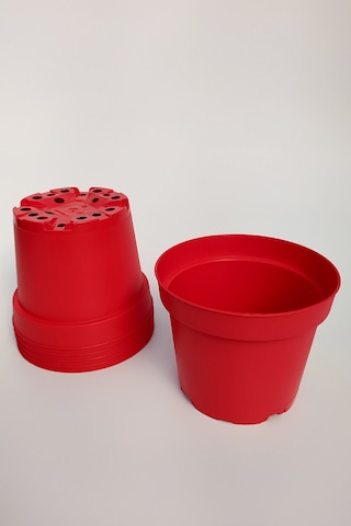 12Cm Kaktüs Sukulent Saksısı 5 Adet Kırmızı Tekpar Plastik Üretim
