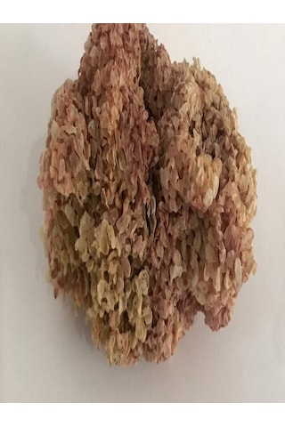 Heybeli Aktar Baharat Yerli Deniz Kadayıfı 500 Gr