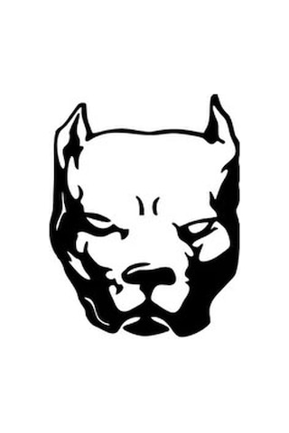 Pitbull Sticker Folyo - Siyah -