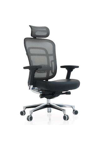 Passion Çalışma Koltuğu Oyuncu Yönetici Makam Koltuğu