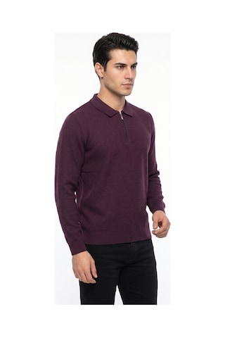 Foterman Erkek Spor Polo Yaka Mevsimlik Kazak Bgl-st05443 Mürdüm