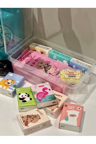Pratik Hijyen Seti-9 Paket Kağıt Mendil - 8 Paket Mini Islak Mendil - Sihirli Sabun + Saklama Kabı