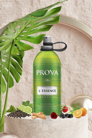 Prova L'Essence 100 ML + Narcos Erkek Parfüm Seti EDP 120 ML
