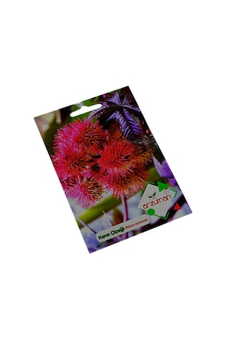 Arzuman Süs Bitki Kene Çiçek Tohumu