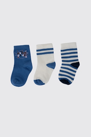 Panço Erkek Çocuk 3'lü Soket Çorap 2522bk11001 Renkli