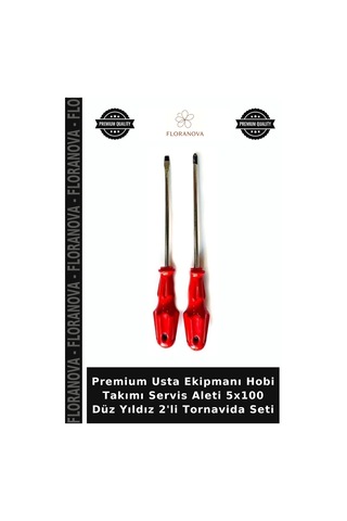 Premium Usta Ekipmanı Hobi Takımı Servis Aleti 5x100 Düz Yıldız 2'li Tornavida Seti
