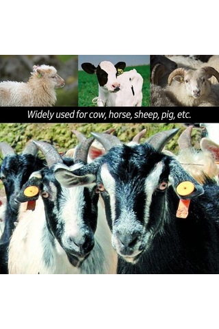 Didadodo Yeşil/kırmızı Metal Kulak Küpesi Penseti - 320g, 30x10x2cm, Güzel Tasarım