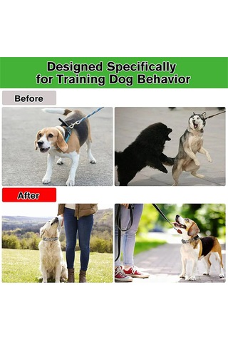 Geeroyoo Hızlı Açılır Tokalı Ayarlanabilir Köpek Eğitim Tasması - Metal Çivili Tasarım