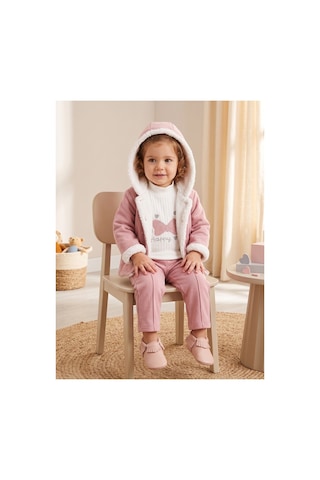 Deniva Kids Kız Bebek Pelüş Detaylı Kapüşonlu Ceket, Fiyonk Baskılı Bluz Ve Eşofman Altı 3'lü Kışlık Takım Pembe