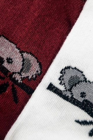 Cocole Socks Çocuk Patik Çorabı 2 Li Set Pamuklu Beyaz & Bordo Koala Desenli Çok Renkli