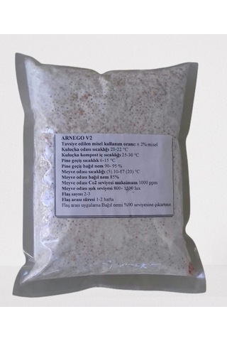 İstiridye Mantar Tohumu N117357