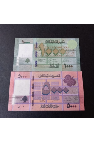 Lübnan 1000 - 5000 Livres Takım Çil Eski Yabancı Kağıt Para
