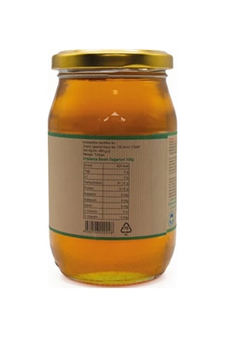 Raya Organik Çiçek Balı 460 G