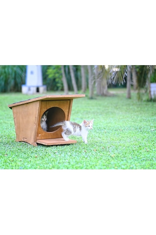 MANDU Ahşap Mini Kedi Evi (Yeni Doğan evi)